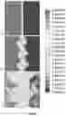 Fig. 08 - Three dimensional structured packing for improving the contact between a gas phase and a dispersed solid phase following in counter-current