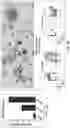 Fig. 08 - Bone marrow microfluidic devices and methods for preparing and using the same