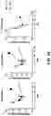 Fig. 12 - Bone marrow microfluidic devices and methods for preparing and using the same