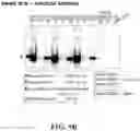 Fig. 11 - System and method for production of on-demand proteins in a portable unit for point of care delivery