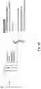 Fig. 17 - System and method for production of on-demand proteins in a portable unit for point of care delivery