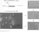 Fig. 01 - Method of producing cancer stem cells