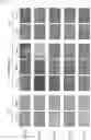 Fig. 05 - Method of producing cancer stem cells