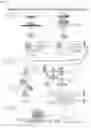Fig. 15 - Method of producing cancer stem cells