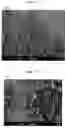 Fig. 09 - CULTURE MEDIUM COMPOSITION
