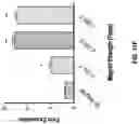 Fig. 23 - Nanoscale artificial antigen presenting cells