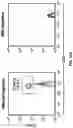 Fig. 33 - Nanoscale artificial antigen presenting cells