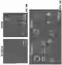 Fig. 40 - Nanoscale artificial antigen presenting cells