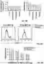 Fig. 41 - Nanoscale artificial antigen presenting cells