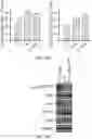 Fig. 28 - METHODS FOR MANUFACTURING T CELLS EXPRESSING OF CHIMERIC ANTIGEN RECEPTORS AND OTHER RECEPTORS