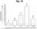 Fig. 23 - Methods of cell culture for adoptive cell therapy