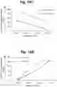 Fig. 26 - Methods of cell culture for adoptive cell therapy