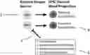 Fig. 01 - METHODS, SYSTEMS, FACTORS, AND MEDIA FOR REDUCTION OF CELLULAR STRESS AND REACTIVE OXYGEN SPECIES