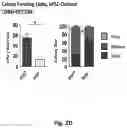 Fig. 06 - METHODS, SYSTEMS, FACTORS, AND MEDIA FOR REDUCTION OF CELLULAR STRESS AND REACTIVE OXYGEN SPECIES
