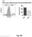 Fig. 22 - METHODS, SYSTEMS, FACTORS, AND MEDIA FOR REDUCTION OF CELLULAR STRESS AND REACTIVE OXYGEN SPECIES