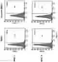 Fig. 17 - Method and composition for inducing chondrogenesis or tenogenesis in mesenchymal stem cells