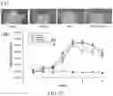 Fig. 14 - FORMULATION COMPRISING EXTRACELLULAR VESICLES, METHOD FOR PRODUCING THE SAME, AND USES THEREOF