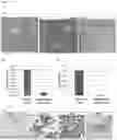 Fig. 05 - Method for producing adult liver progenitor cells