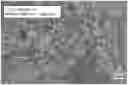Fig. 01 - Method for circulating tumor cells isolation
