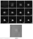 Fig. 05 - CELL SPHEROIDS CONTAINING CAPILLARY STRUCTURES AND METHODS OF USING SAME