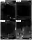 Fig. 11 - CELL SPHEROIDS CONTAINING CAPILLARY STRUCTURES AND METHODS OF USING SAME
