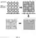 Fig. 14 - CELL SPHEROIDS CONTAINING CAPILLARY STRUCTURES AND METHODS OF USING SAME