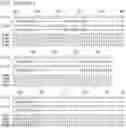 Fig. 16 - Adeno-associated virus capsid variants and methods of use thereof