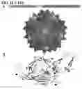 Fig. 17 - Adeno-associated virus capsid variants and methods of use thereof