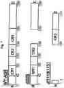 Fig. 08 - Use of adenovirus and nucleic acids coding therefor