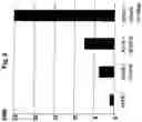 Fig. 10 - Use of adenovirus and nucleic acids coding therefor