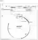 Fig. 02 - Expression vectors with promoter and nucleic acid