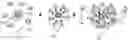 Fig. 01 - Disordered protein-based seeds for molecular clustering