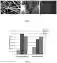 Fig. 03 - Tissue scaffolds for electrically excitable cells