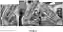 Fig. 13 - Methods for purification of messenger RNA