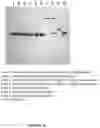 Fig. 20 - Methods for purification of messenger RNA