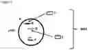 Fig. 03 - AN ENGINEERED MULTI-COMPONENT SYSTEM FOR IDENTIFICATION AND CHARACTERISATION OF T-CELL RECEPTORS, T-CELL ANTIGENS AND THEIR FUNCTIONAL INTERACTION