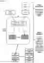 Fig. 25 - AN ENGINEERED MULTI-COMPONENT SYSTEM FOR IDENTIFICATION AND CHARACTERISATION OF T-CELL RECEPTORS, T-CELL ANTIGENS AND THEIR FUNCTIONAL INTERACTION