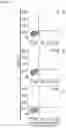 Fig. 42 - AN ENGINEERED MULTI-COMPONENT SYSTEM FOR IDENTIFICATION AND CHARACTERISATION OF T-CELL RECEPTORS, T-CELL ANTIGENS AND THEIR FUNCTIONAL INTERACTION