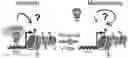 Fig. 01 - Method of detecting Polycomb Repressive Complex activity
