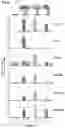 Fig. 03 - Method of detecting Polycomb Repressive Complex activity