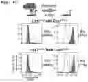 Fig. 13 - Method of detecting Polycomb Repressive Complex activity