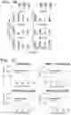 Fig. 16 - Method of detecting Polycomb Repressive Complex activity