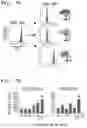 Fig. 19 - Method of detecting Polycomb Repressive Complex activity
