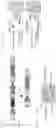 Fig. 29 - Method of detecting Polycomb Repressive Complex activity