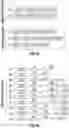 Fig. 04 - Methods and systems for modulating intracellular gene expression