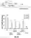 Fig. 14 - Methods and systems for modulating intracellular gene expression