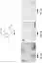 Fig. 11 - Peptide nucleic acid conjugates