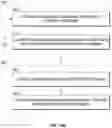 Fig. 13 - Peptide nucleic acid conjugates