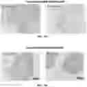 Fig. 15 - Peptide nucleic acid conjugates