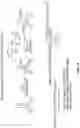 Fig. 16 - Peptide nucleic acid conjugates